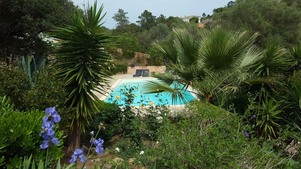 Villa Mimosa ฟาโวเน ภายนอก รูปภาพ
