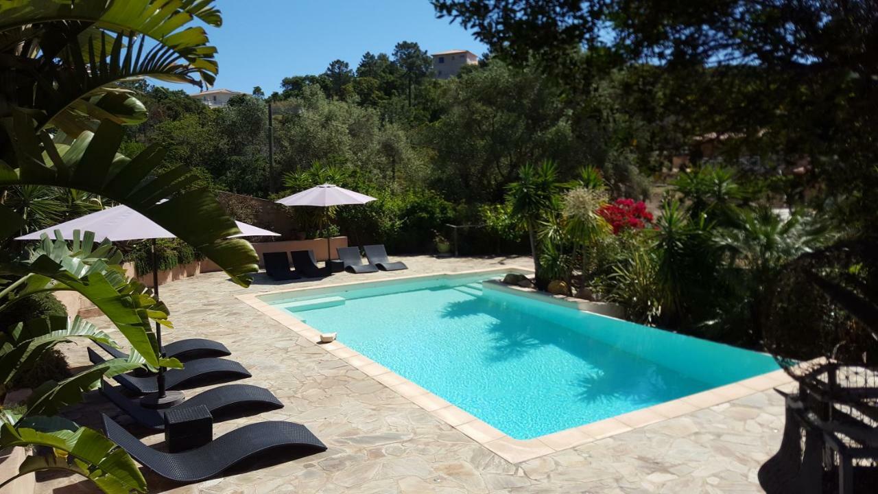 Villa Mimosa ฟาโวเน ภายนอก รูปภาพ